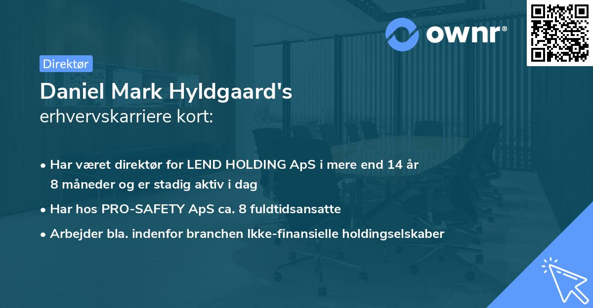 Daniel Mark Hyldgaard's erhvervskarriere kort
