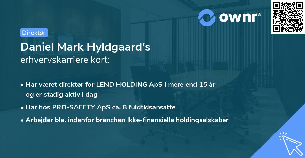 Daniel Mark Hyldgaard's erhvervskarriere kort