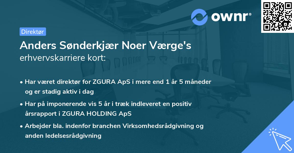 Anders Sønderkjær Noer Værge's erhvervskarriere kort