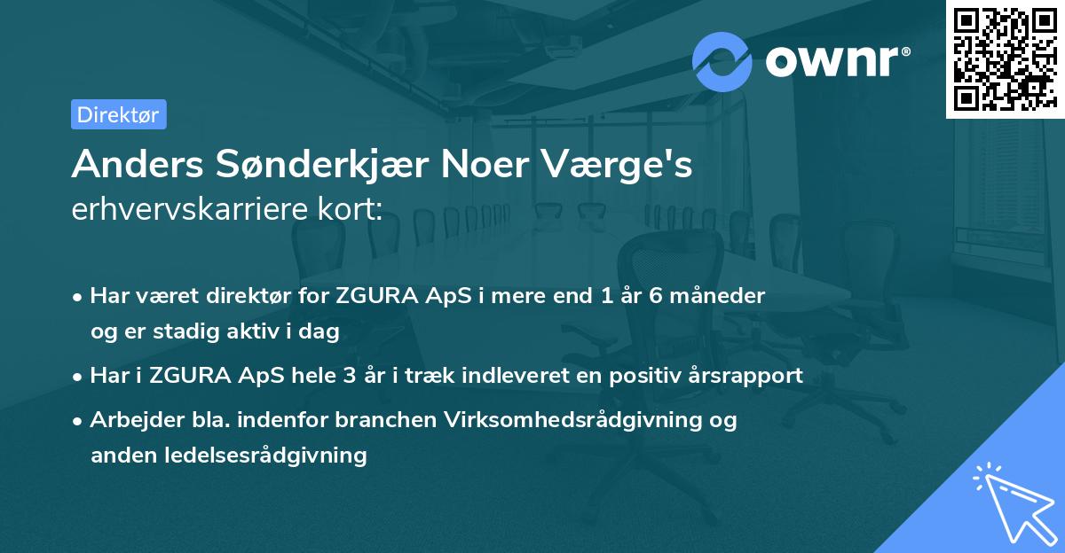Anders Sønderkjær Noer Værge's erhvervskarriere kort