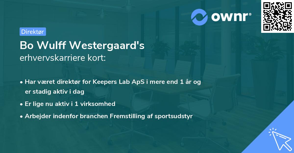Bo Wulff Westergaard's erhvervskarriere kort
