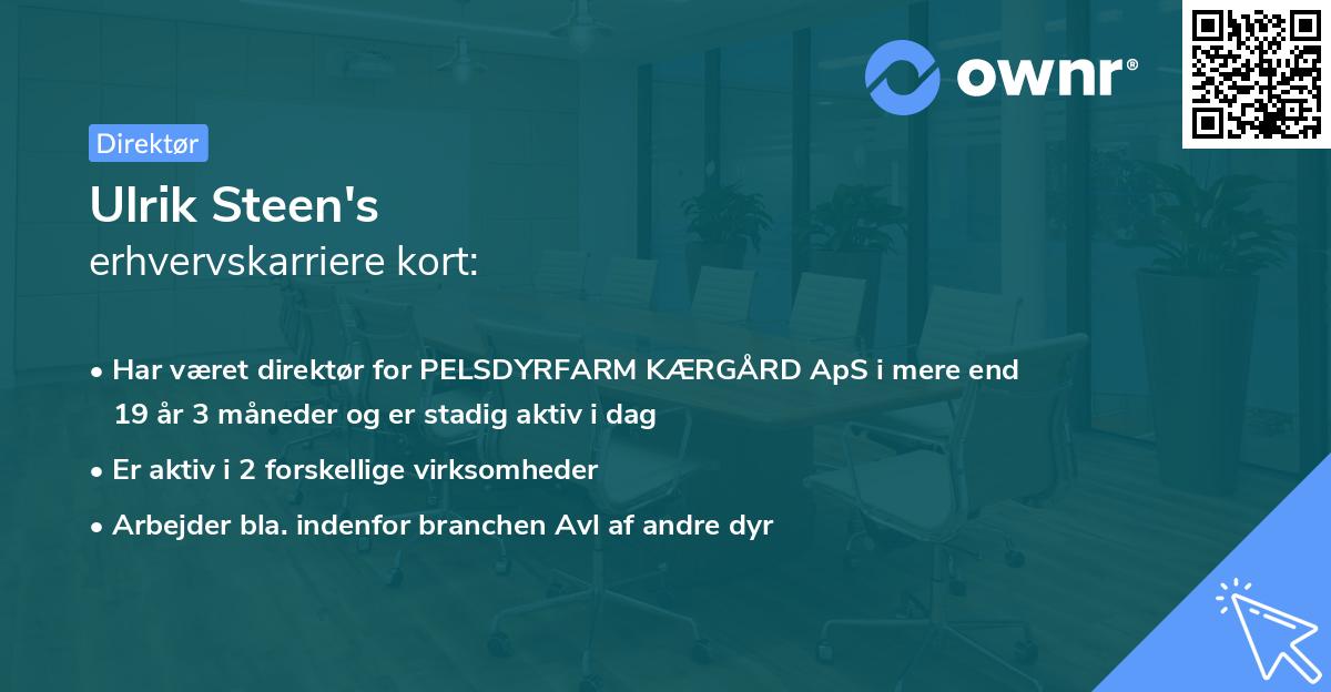 Ulrik Steen's erhvervskarriere kort
