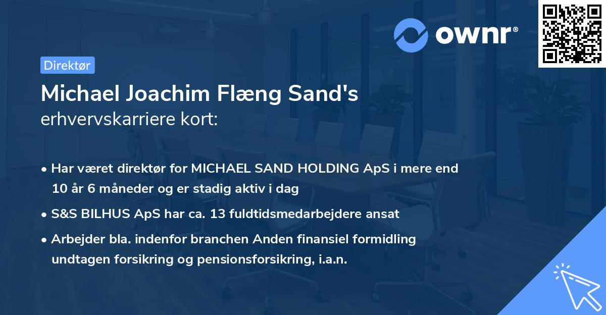 Michael Joachim Flæng Sand's erhvervskarriere kort