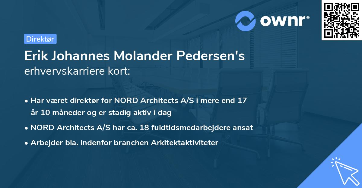 Erik Johannes Molander Pedersen's erhvervskarriere kort