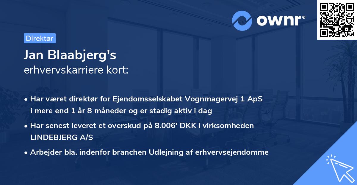 Jan Blaabjerg's erhvervskarriere kort