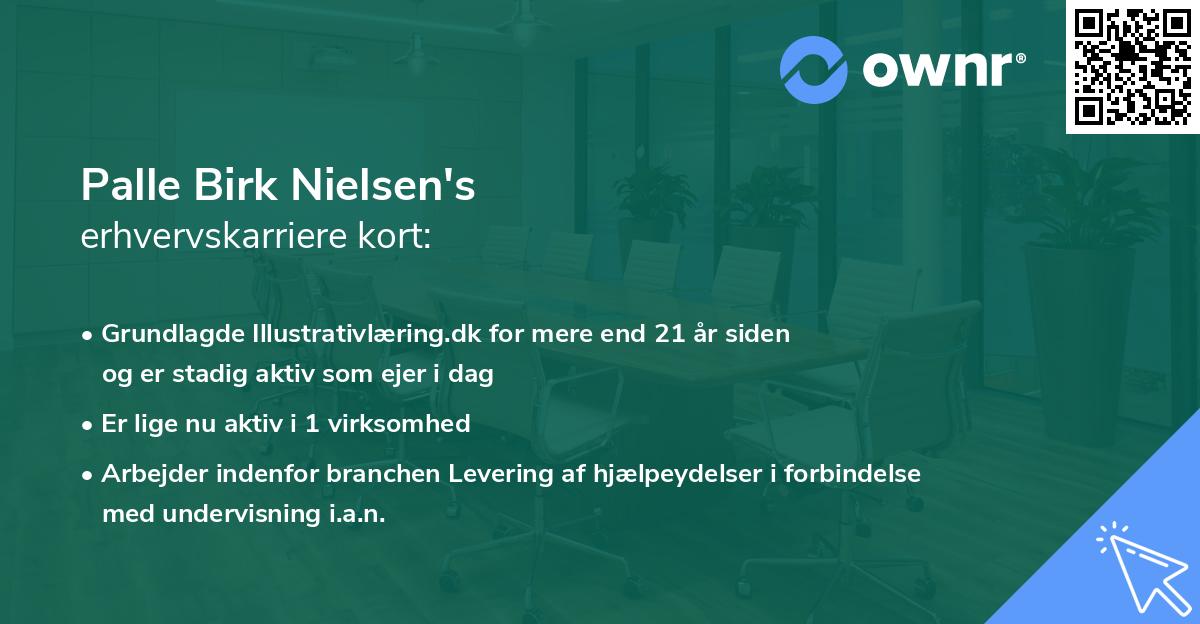Palle Birk Nielsen's erhvervskarriere kort