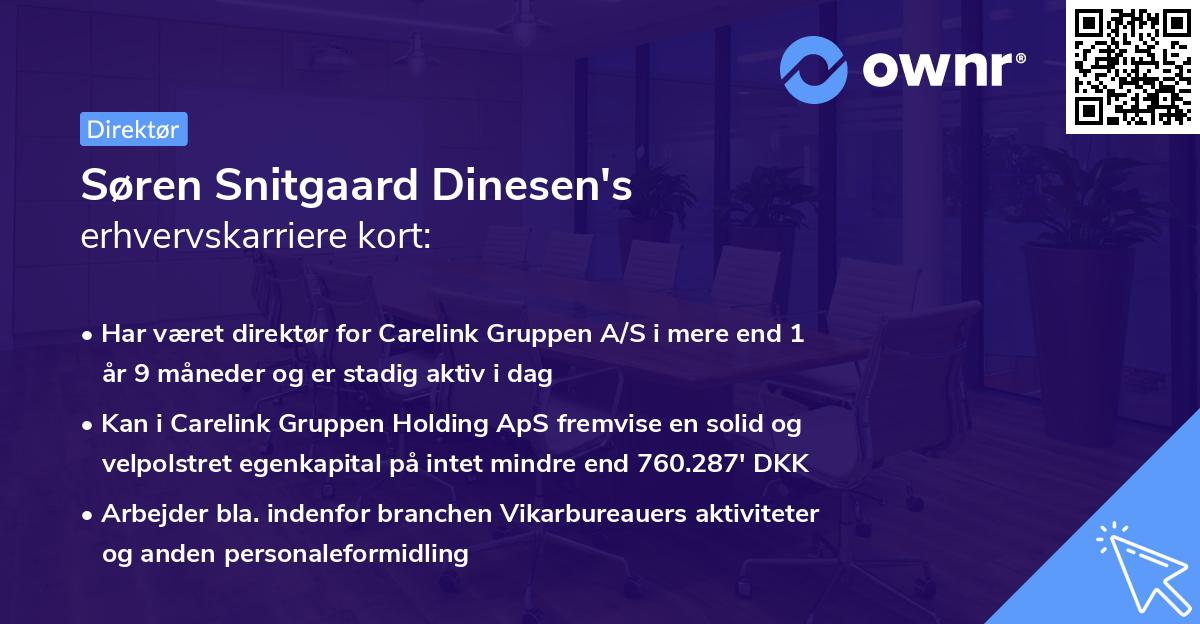 Søren Snitgaard Dinesen's erhvervskarriere kort