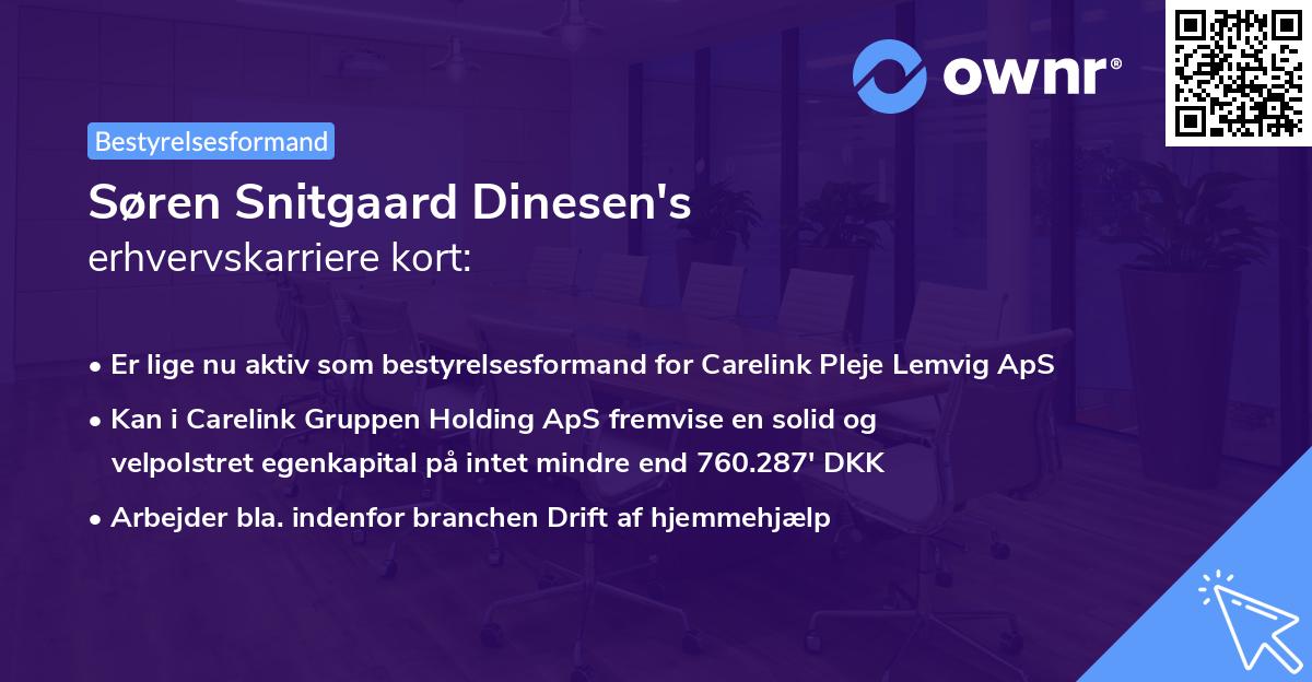 Søren Snitgaard Dinesen's erhvervskarriere kort