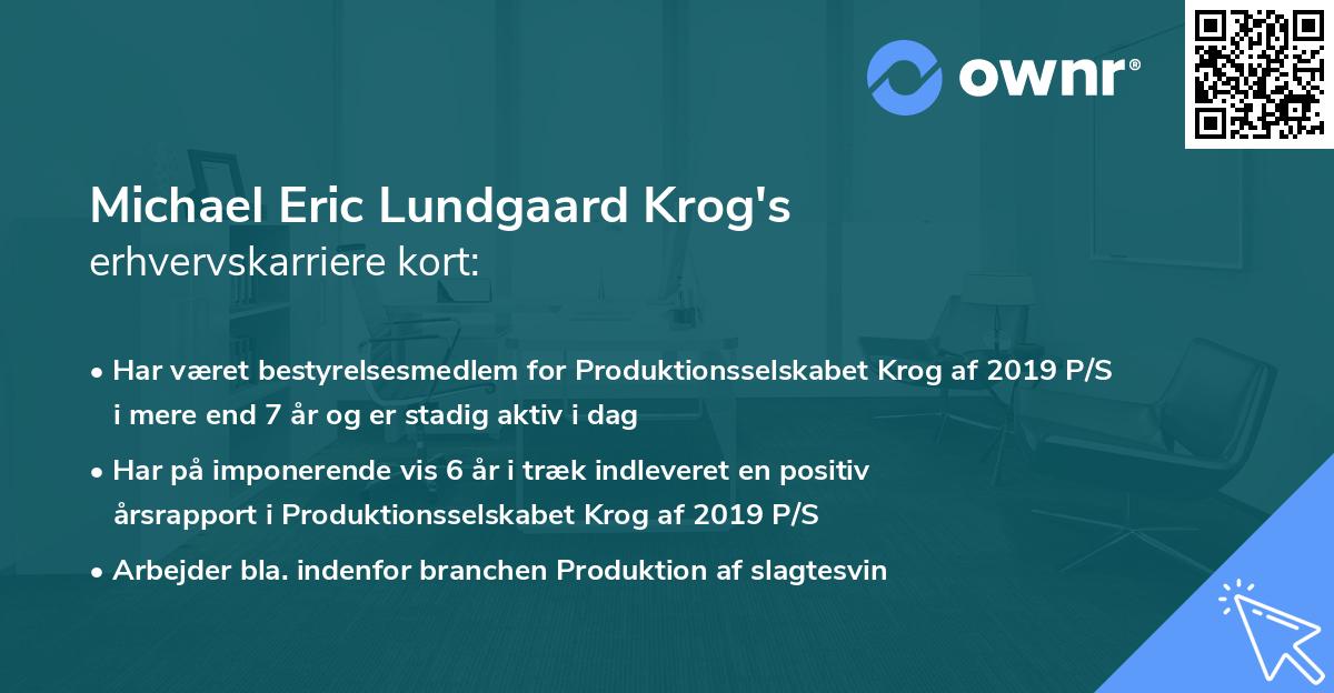 Michael Eric Lundgaard Krog's erhvervskarriere kort