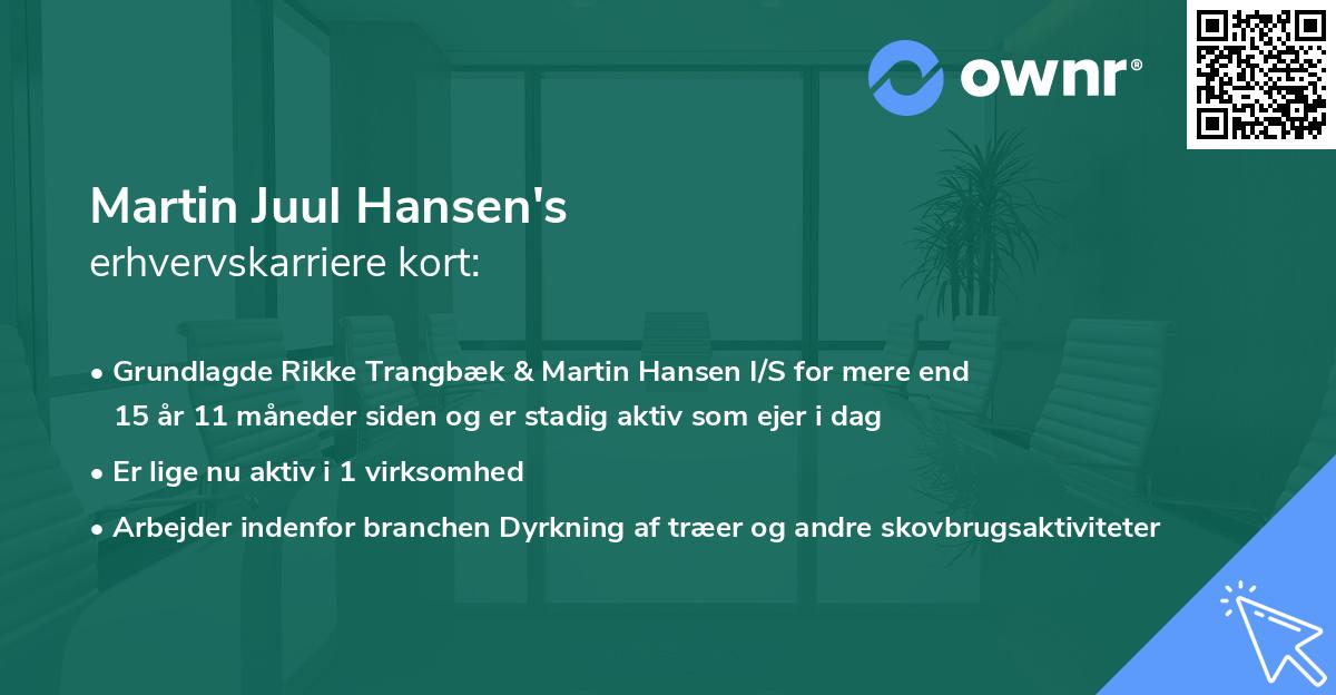 Martin Juul Hansen's erhvervskarriere kort