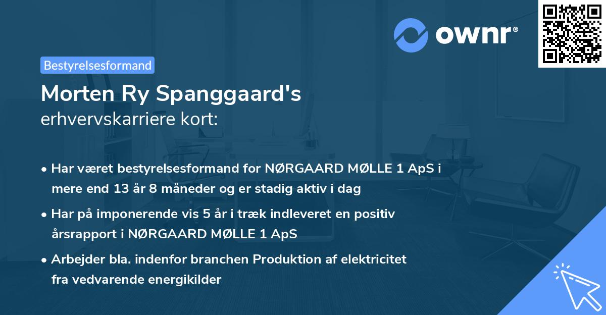 Morten Ry Spanggaard's erhvervskarriere kort