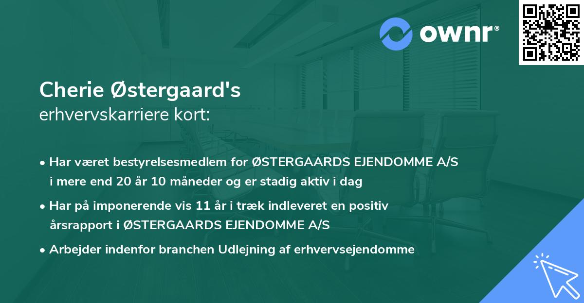 Cherie Østergaard's erhvervskarriere kort