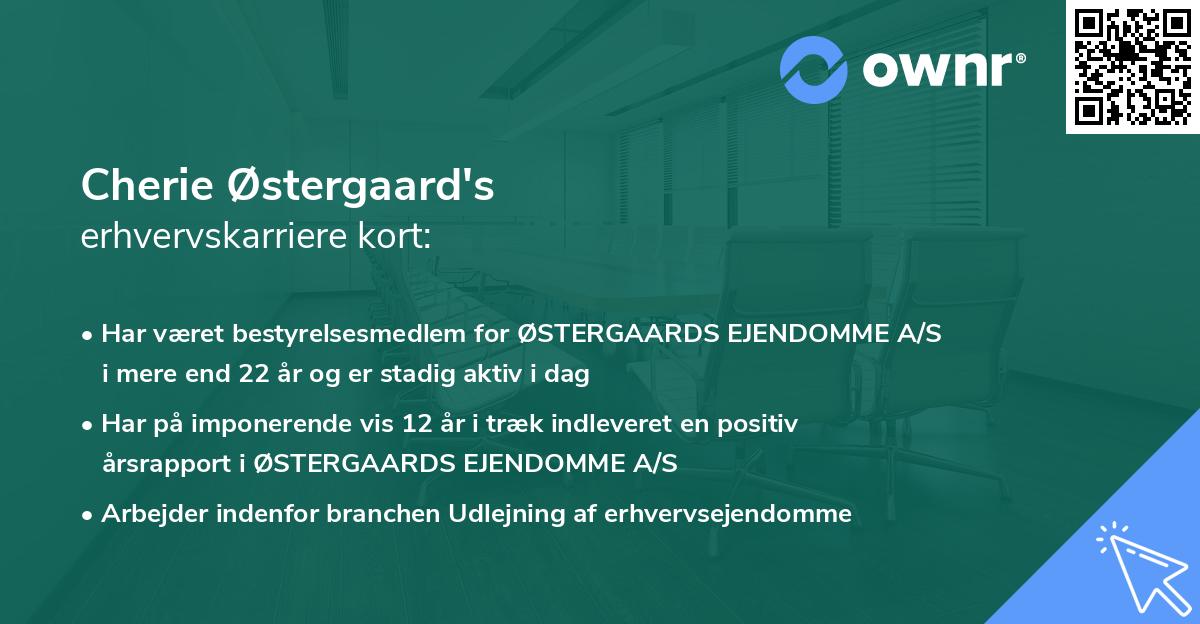 Cherie Østergaard's erhvervskarriere kort