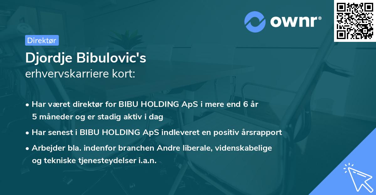 Djordje Bibulovic's erhvervskarriere kort