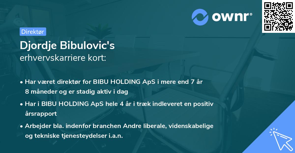 Djordje Bibulovic's erhvervskarriere kort