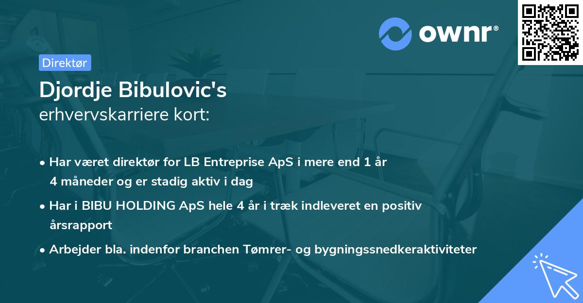 Djordje Bibulovic's erhvervskarriere kort