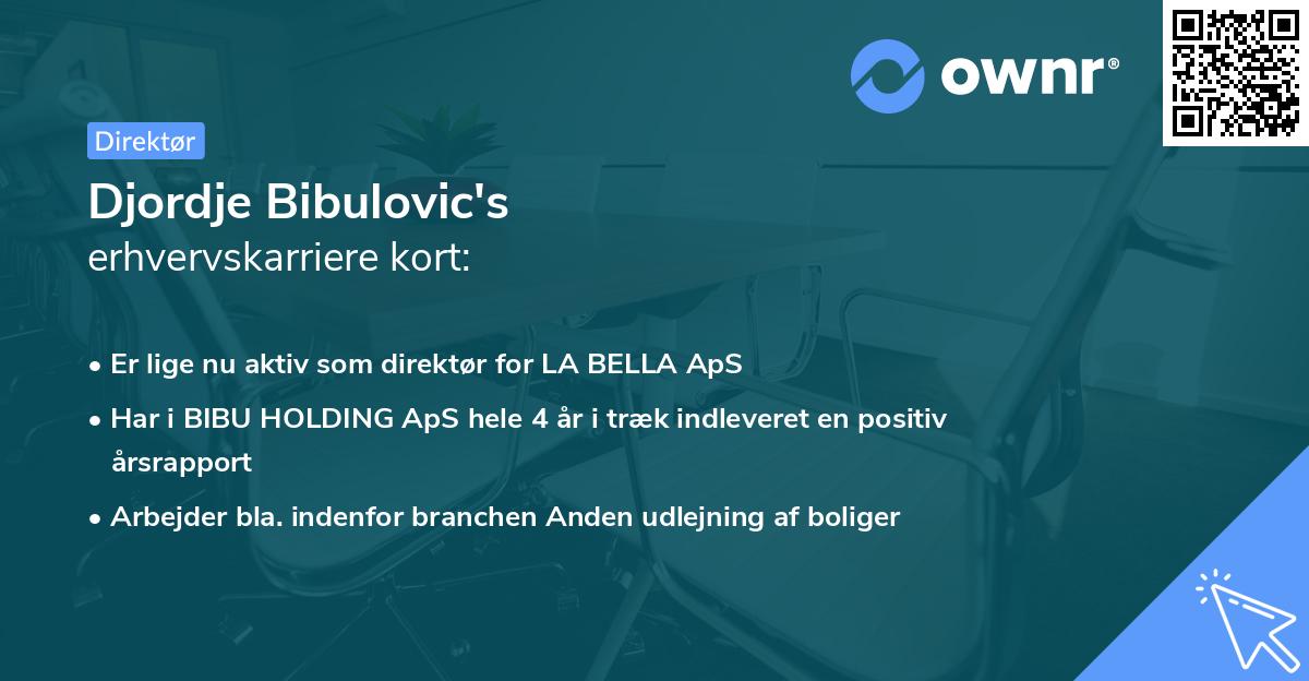 Djordje Bibulovic's erhvervskarriere kort