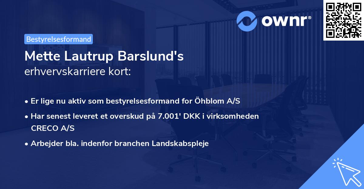 Mette Lautrup Barslund's erhvervskarriere kort
