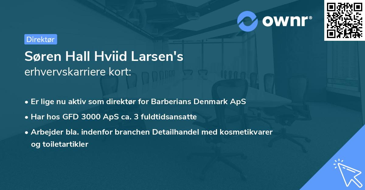 Søren Hall Hviid Larsen's erhvervskarriere kort