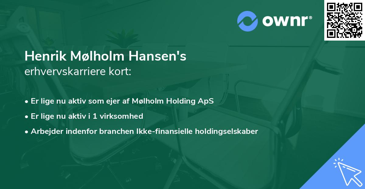 Henrik Mølholm Hansen's erhvervskarriere kort