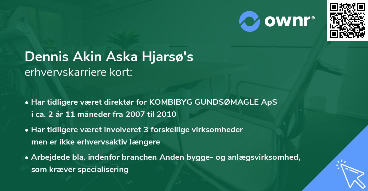 Dennis Akin Aska Hjarsø's erhvervskarriere kort