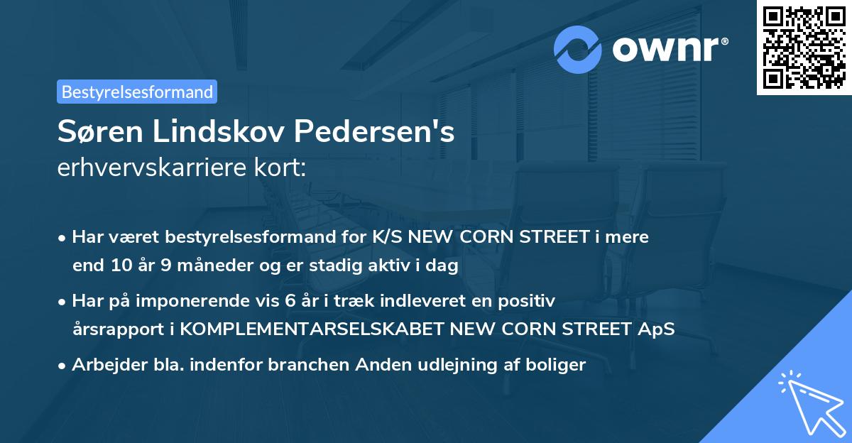 Søren Lindskov Pedersen's erhvervskarriere kort