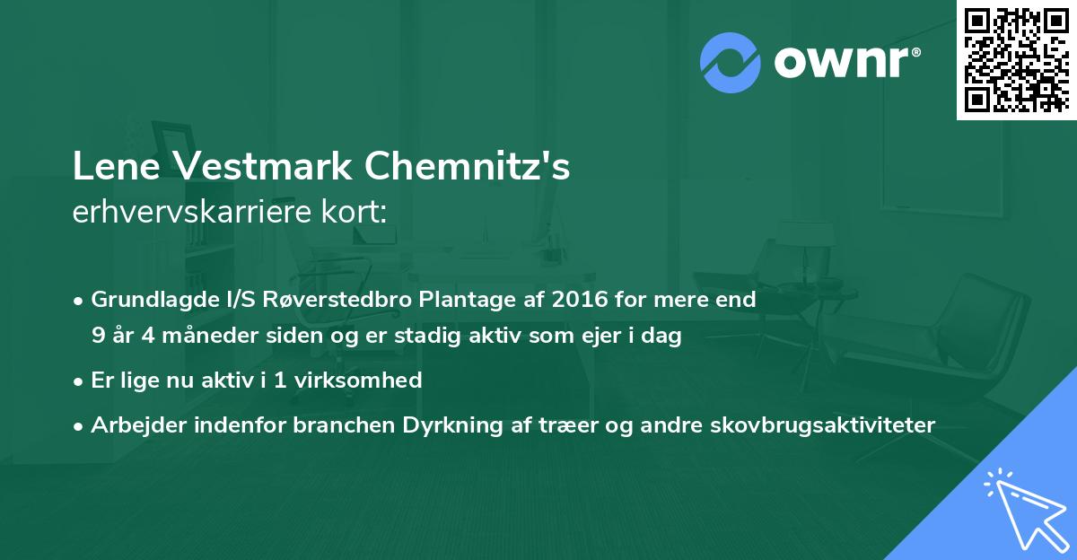 Lene Vestmark Chemnitz's erhvervskarriere kort
