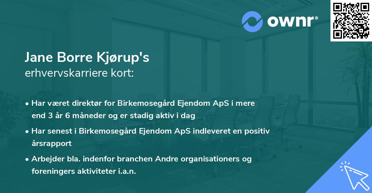 Jane Borre Kjørup's erhvervskarriere kort