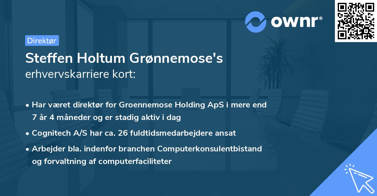 Steffen Holtum Grønnemose's erhvervskarriere kort
