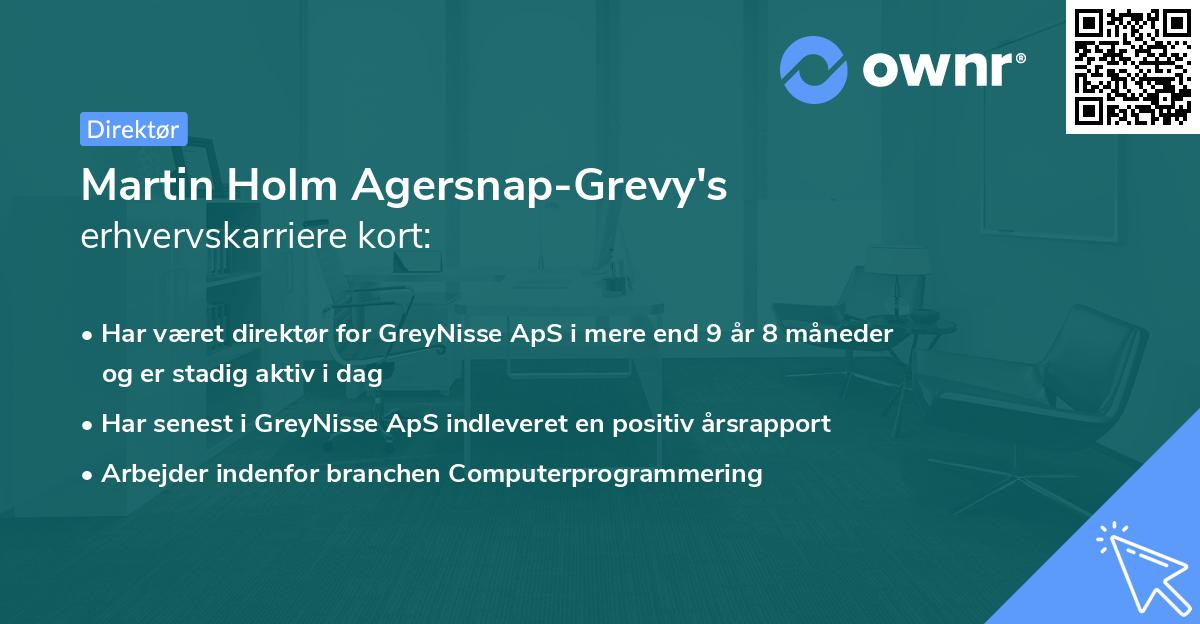 Martin Holm Agersnap-Grevy's erhvervskarriere kort