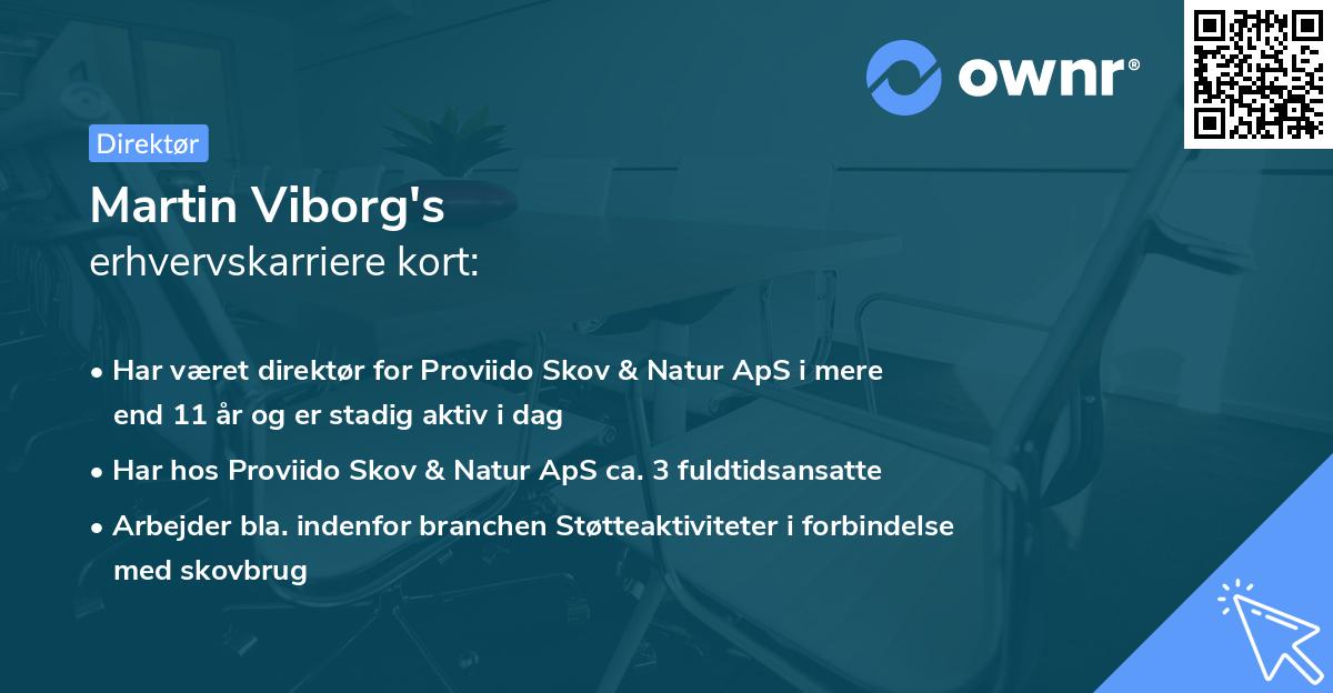 Martin Viborg's erhvervskarriere kort