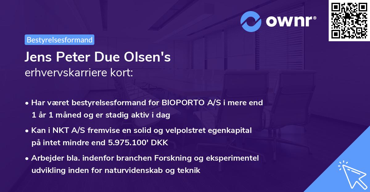 Jens Peter Due Olsen's erhvervskarriere kort