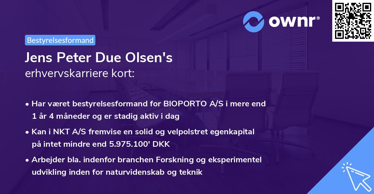 Jens Peter Due Olsen's erhvervskarriere kort