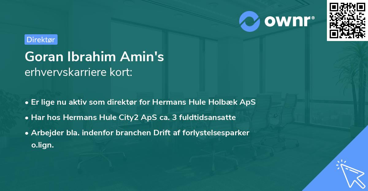 Goran Ibrahim Amin's erhvervskarriere kort