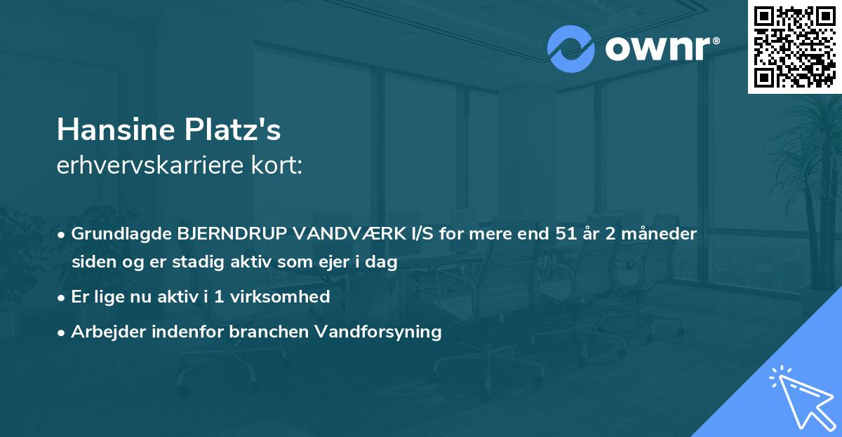 Hansine Platz's erhvervskarriere kort