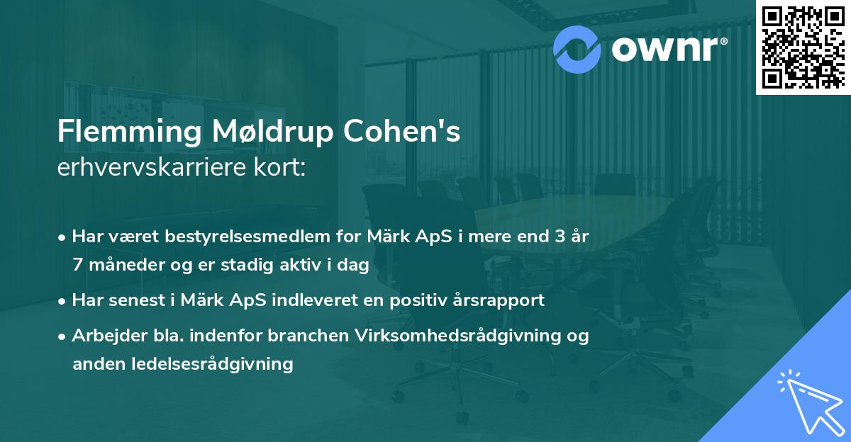 Flemming Møldrup Cohen's erhvervskarriere kort