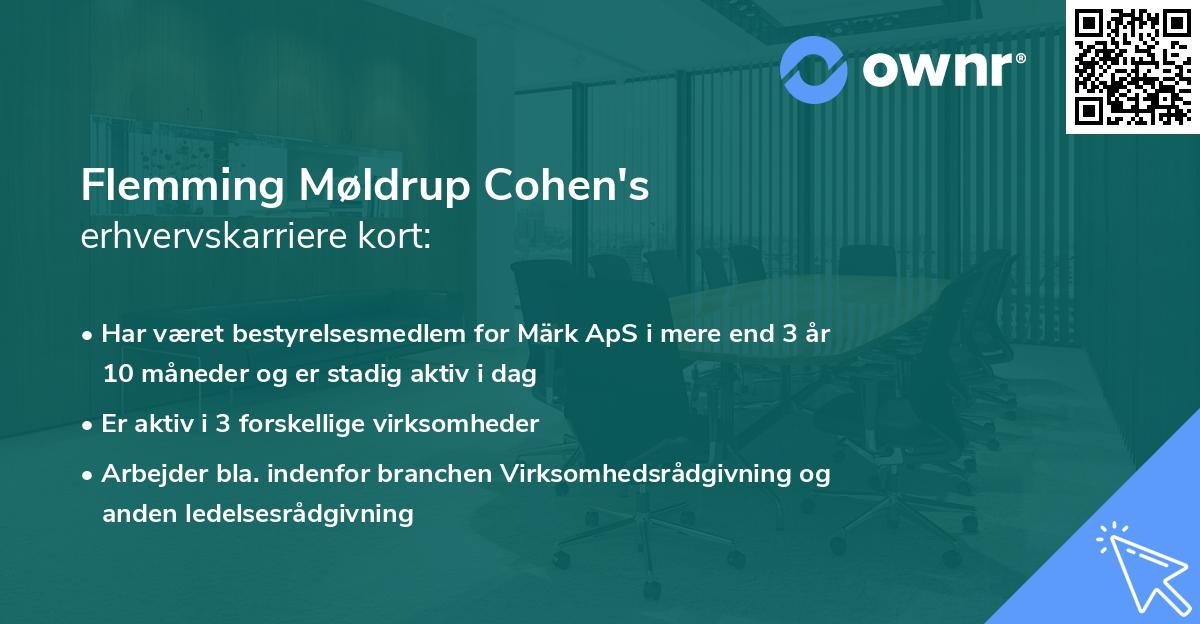 Flemming Møldrup Cohen's erhvervskarriere kort
