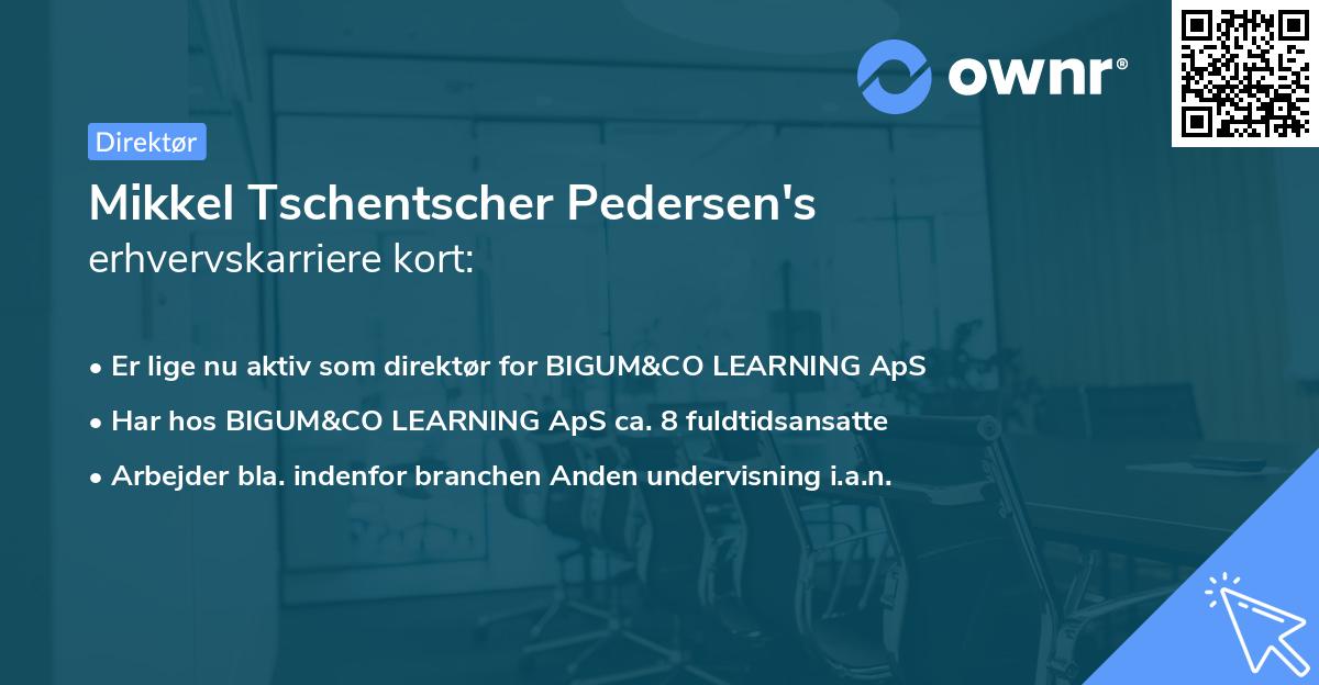 Mikkel Tschentscher Pedersen's erhvervskarriere kort