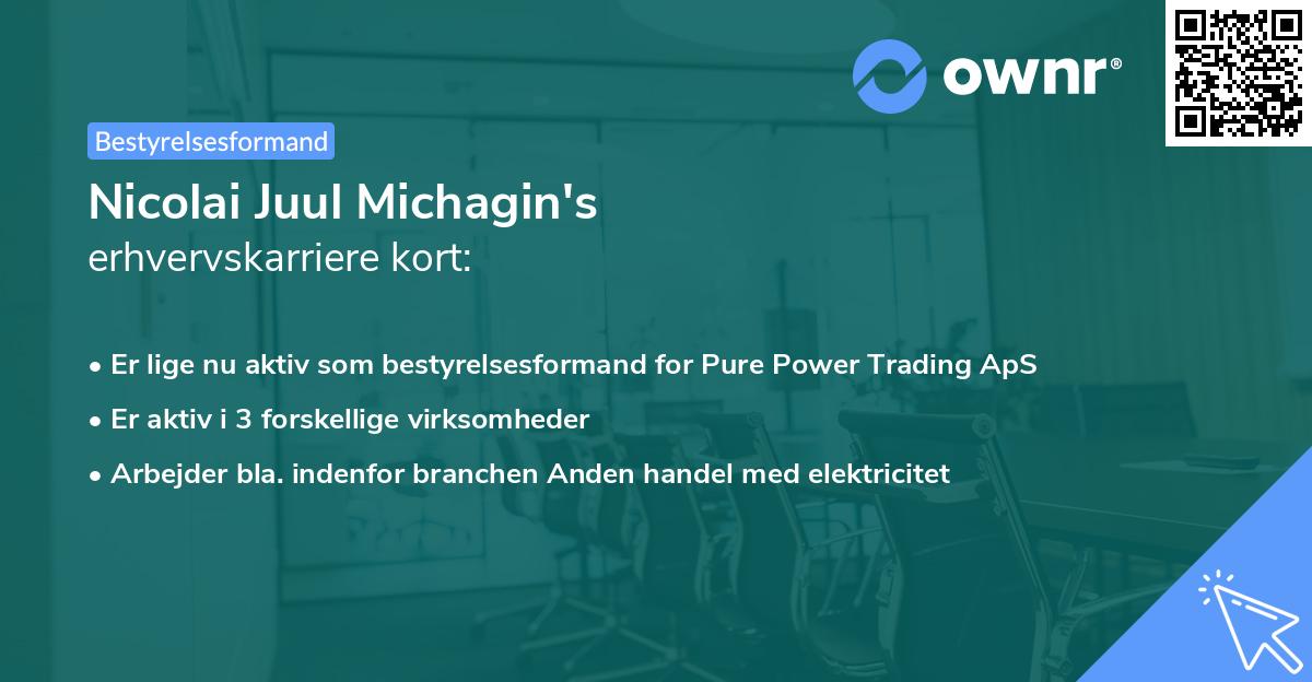 Nicolai Juul Michagin's erhvervskarriere kort