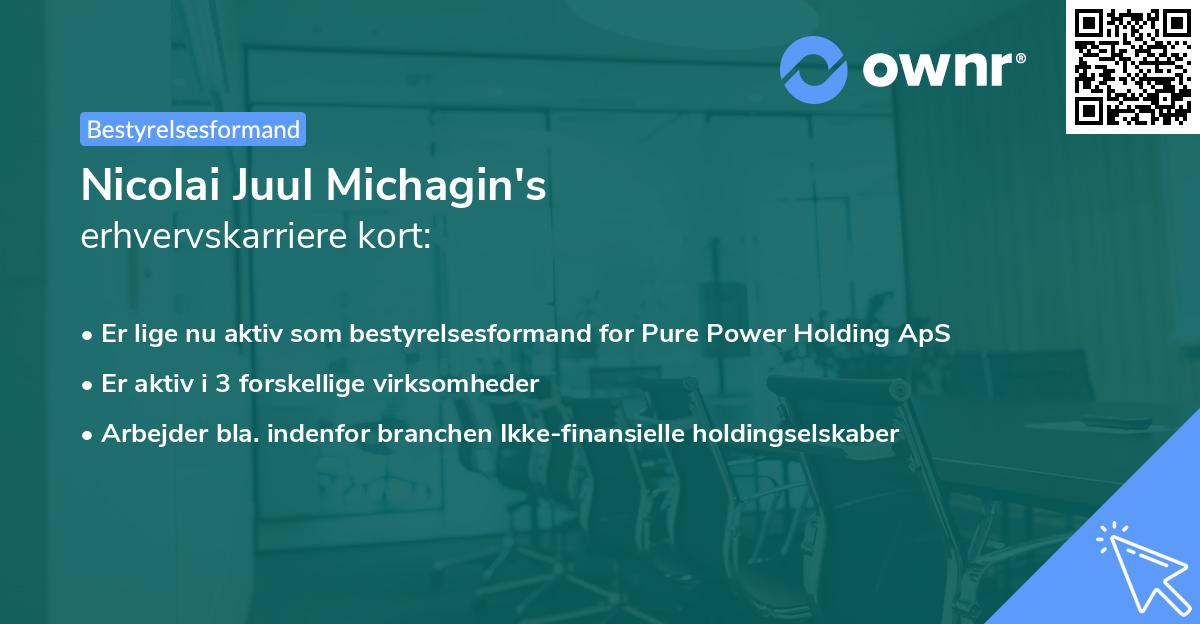 Nicolai Juul Michagin's erhvervskarriere kort