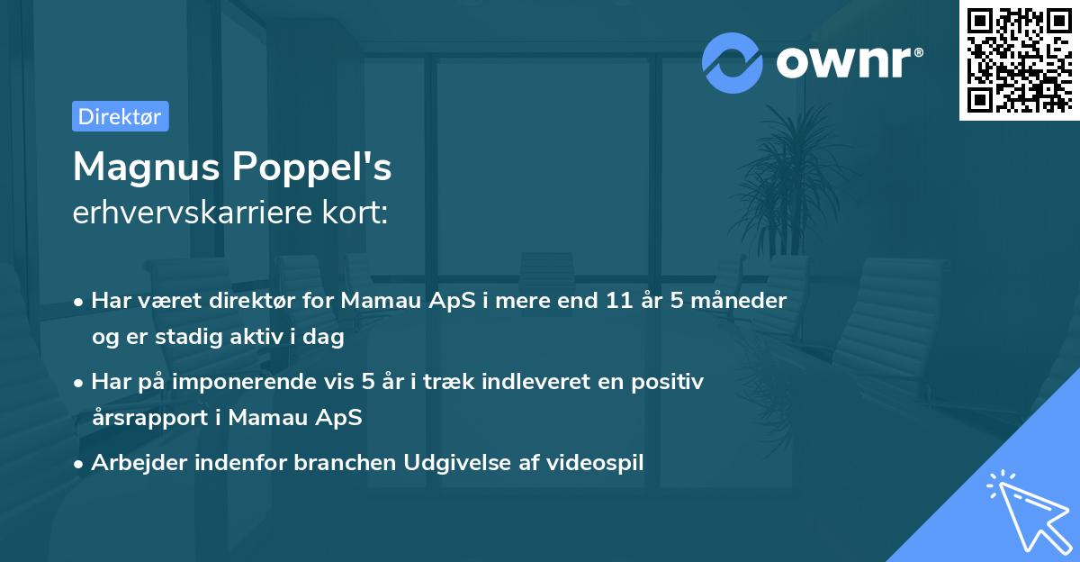 Magnus Poppel's erhvervskarriere kort