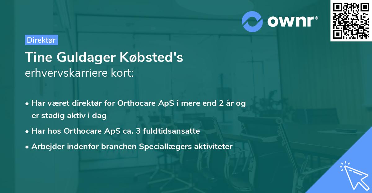 Tine Guldager Købsted's erhvervskarriere kort