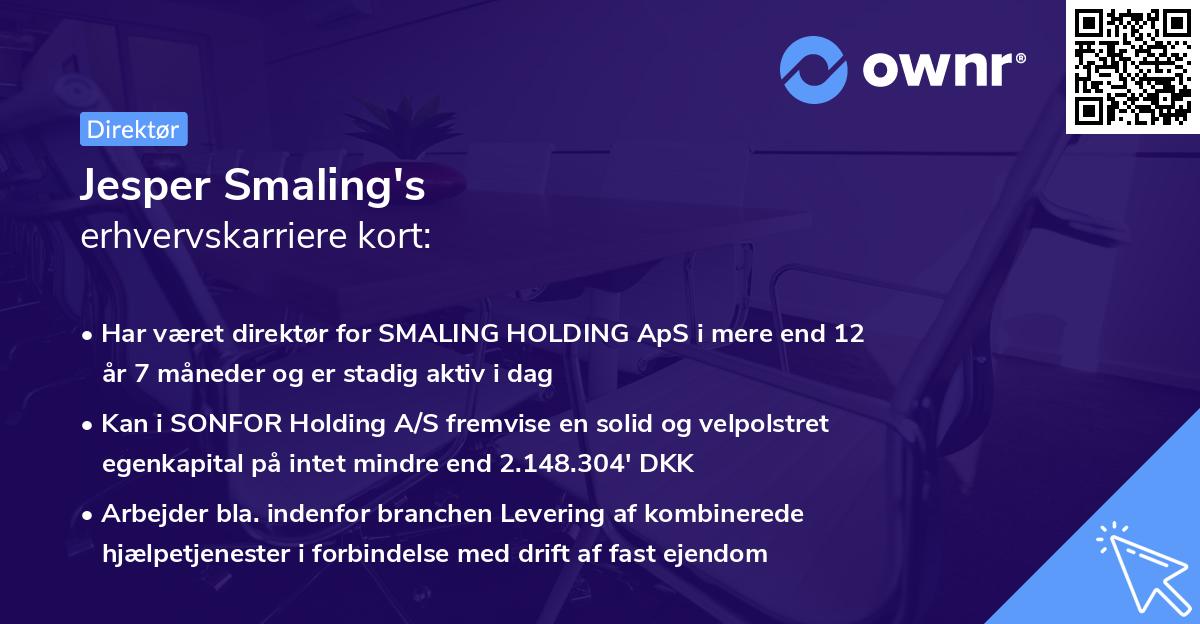 Jesper Smaling's erhvervskarriere kort