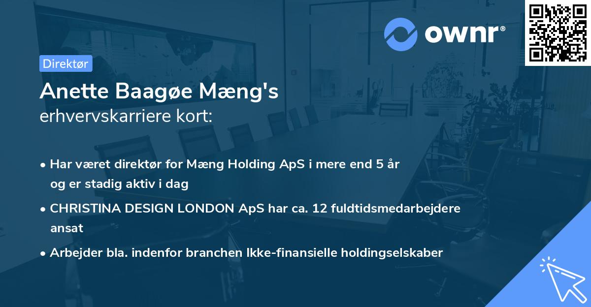 Anette Baagøe Mæng's erhvervskarriere kort