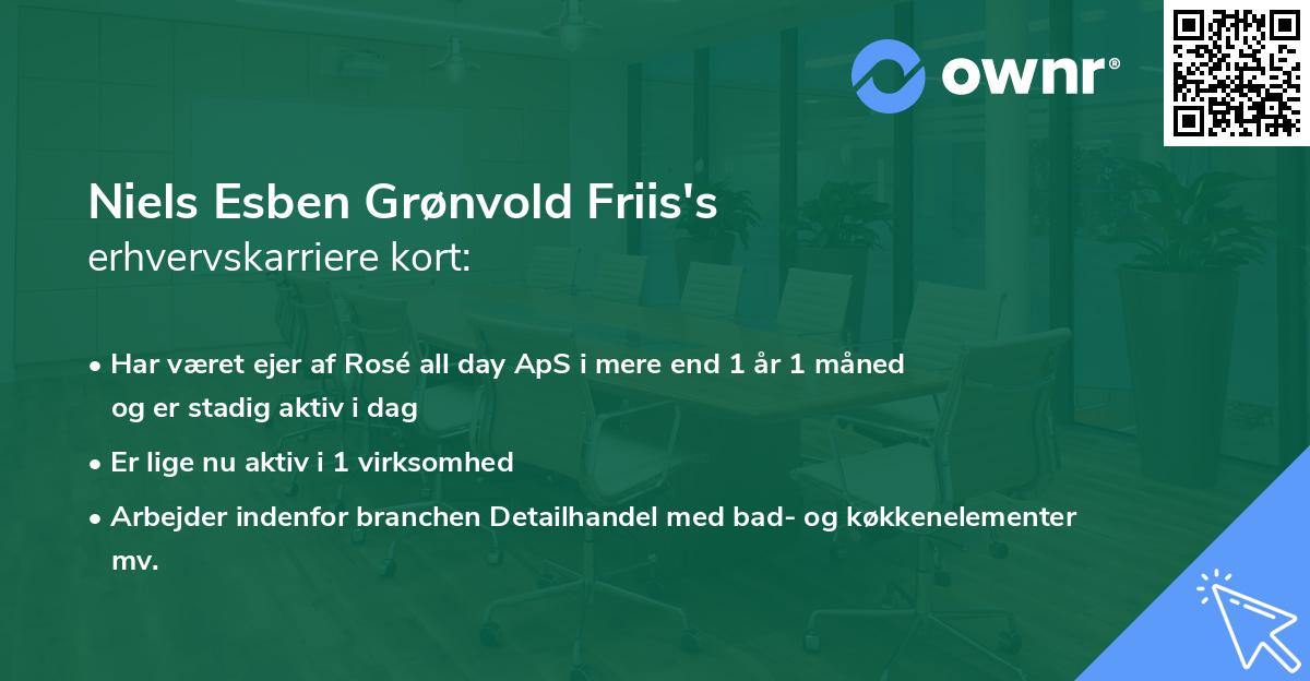 Niels Esben Grønvold Friis's erhvervskarriere kort