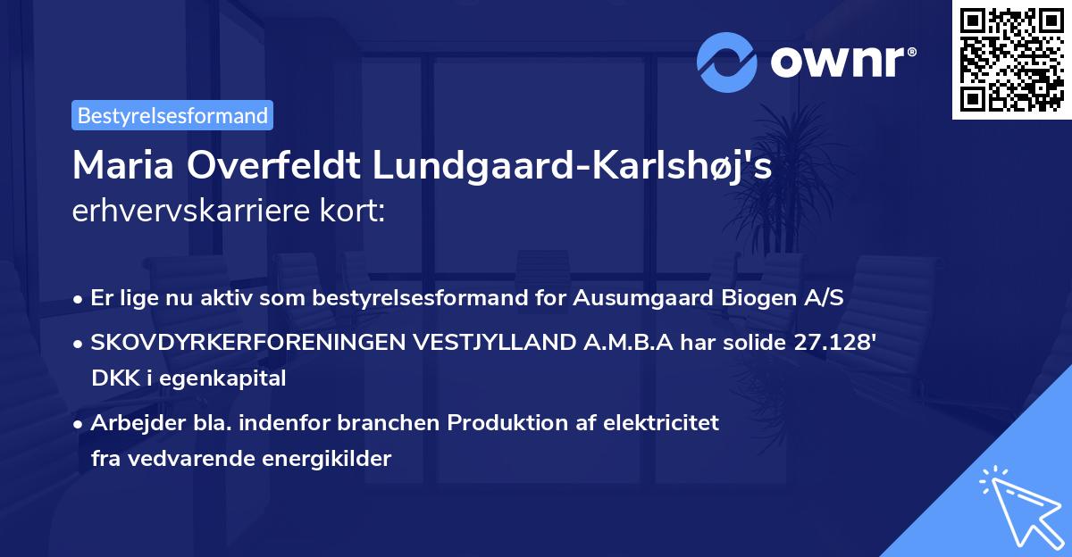 Maria Overfeldt Lundgaard-Karlshøj's erhvervskarriere kort
