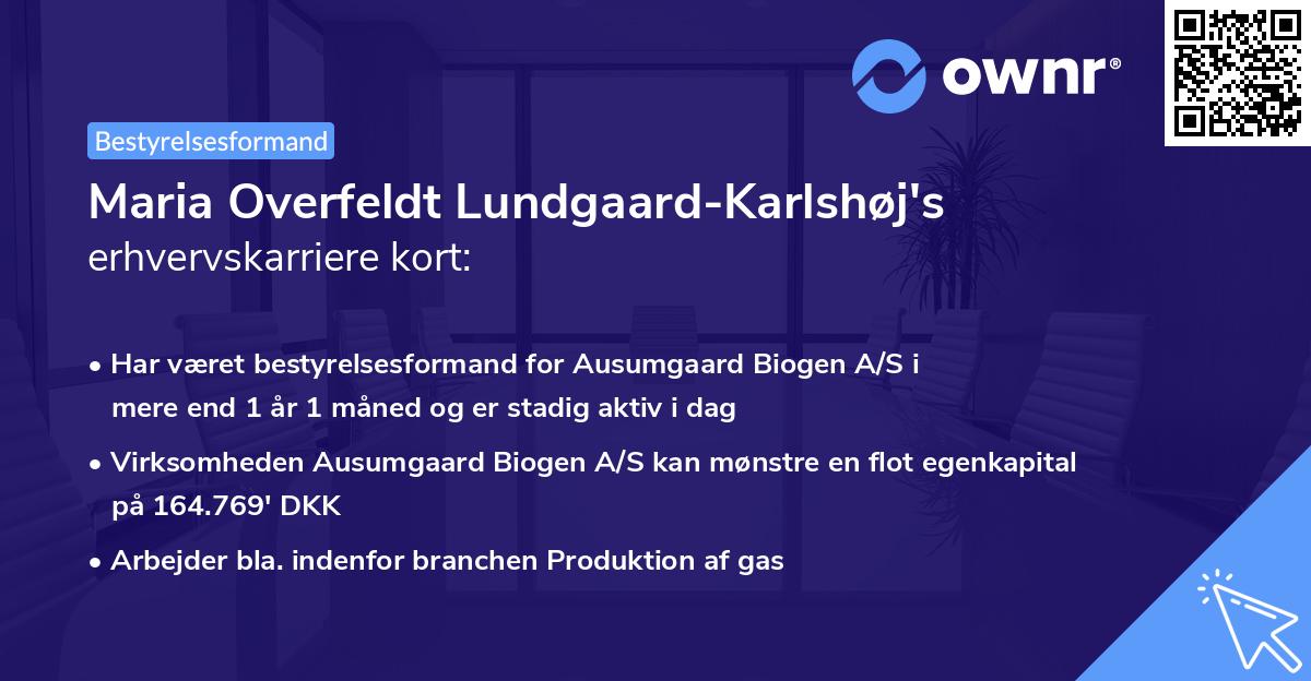 Maria Overfeldt Lundgaard-Karlshøj's erhvervskarriere kort