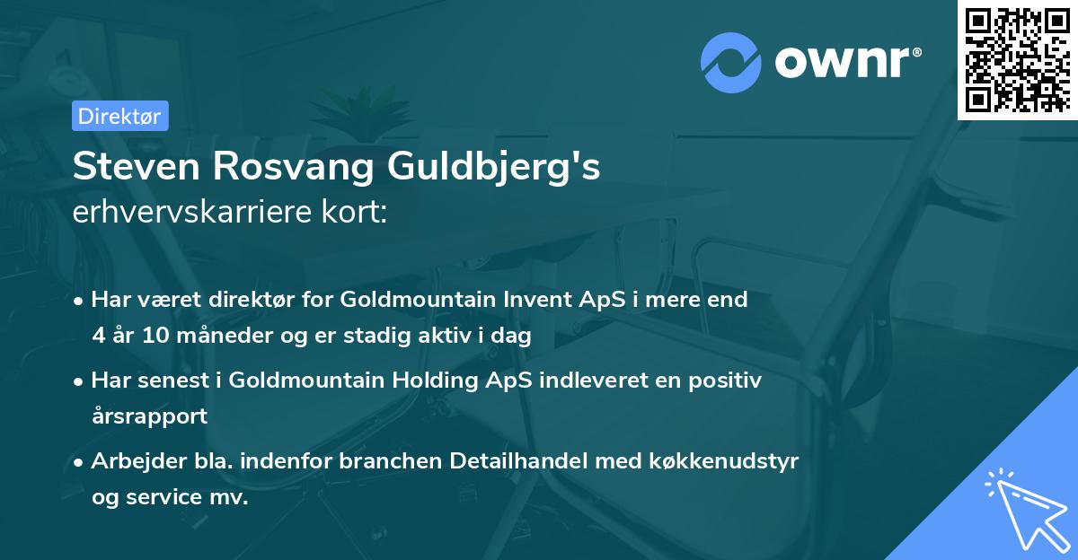 Steven Rosvang Guldbjerg's erhvervskarriere kort