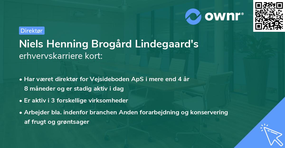 Niels Henning Brogård Lindegaard's erhvervskarriere kort