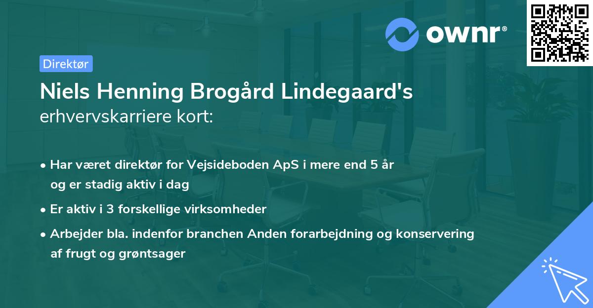 Niels Henning Brogård Lindegaard's erhvervskarriere kort